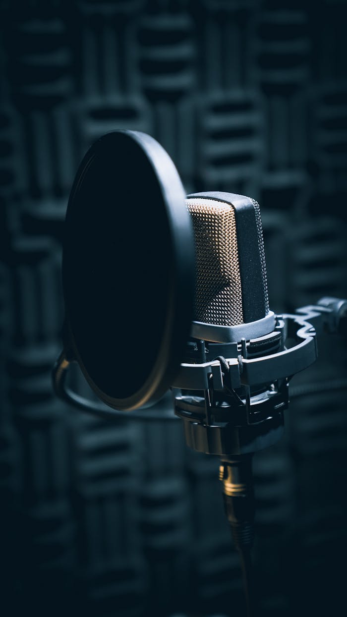 About Close-up of a professional microphone with pop filter in a soundproof studio.